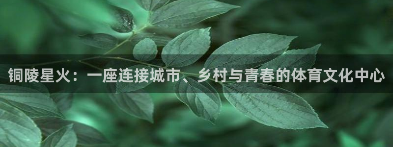 betway西汉姆联官网：铜陵星火：一座连接城市、乡村与青春的体育文化中心