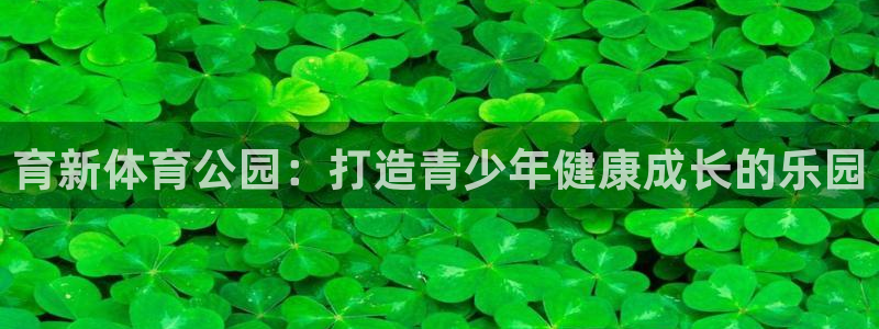 betway西汉姆联：育新体育公园：打造青少年健康成长的乐园