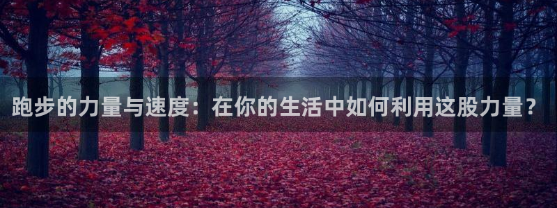 betway西汉姆联：跑步的力量与速度：在你的生活中如何利用这股力量？