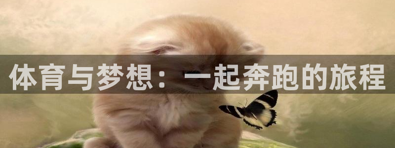 betway西汉姆：体育与梦想：一起奔跑的旅程