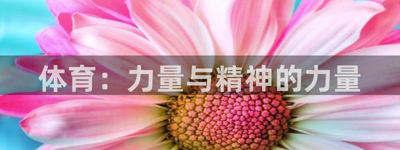 betway西汉姆：体育：力量与精神的力量