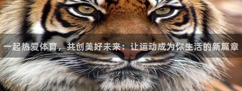 betway西汉姆：一起热爱体育，共创美好未来：让运动成为你生活的新篇章