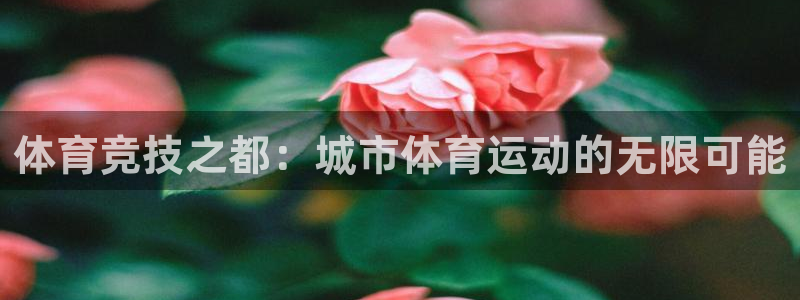 betway西汉姆官网