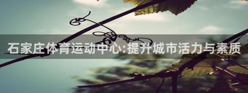 betway西汉姆联：石家庄体育运动中心:提升城市活力与素质